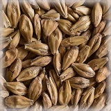 Malta Acid KG
