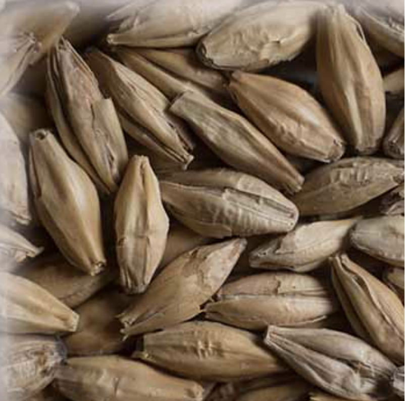 Malta Peated KG