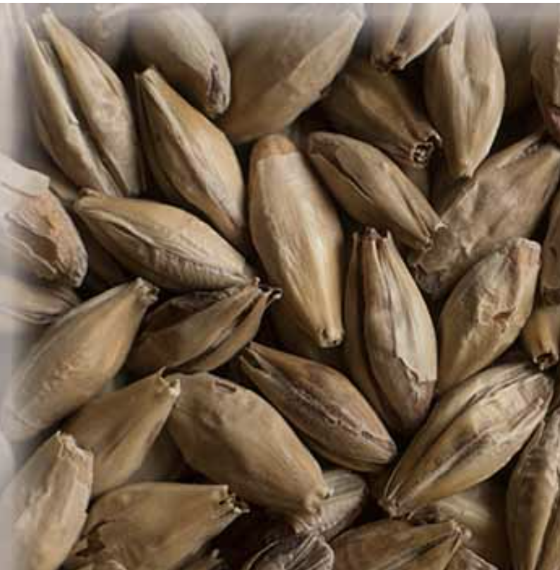 Malta Melano Light KG