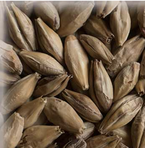 Malta Melano Light KG