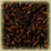 Malta Roasted Barley KG