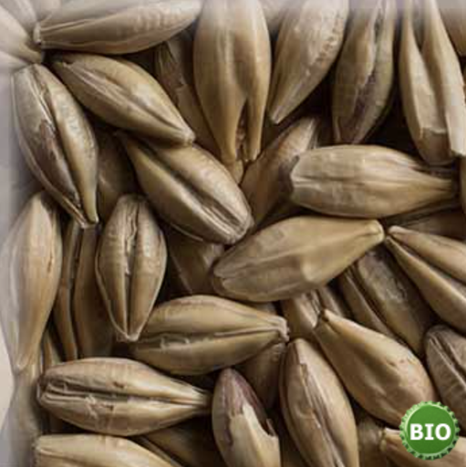 Malta Organica Cara Clair Nature KG