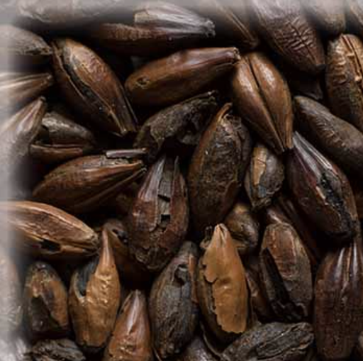 Malta Carafa Special Type I - KG - Weyermann