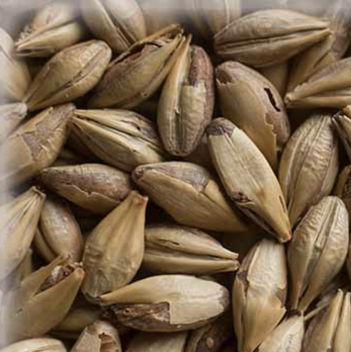 Malta Cara Red KG - Weyermann