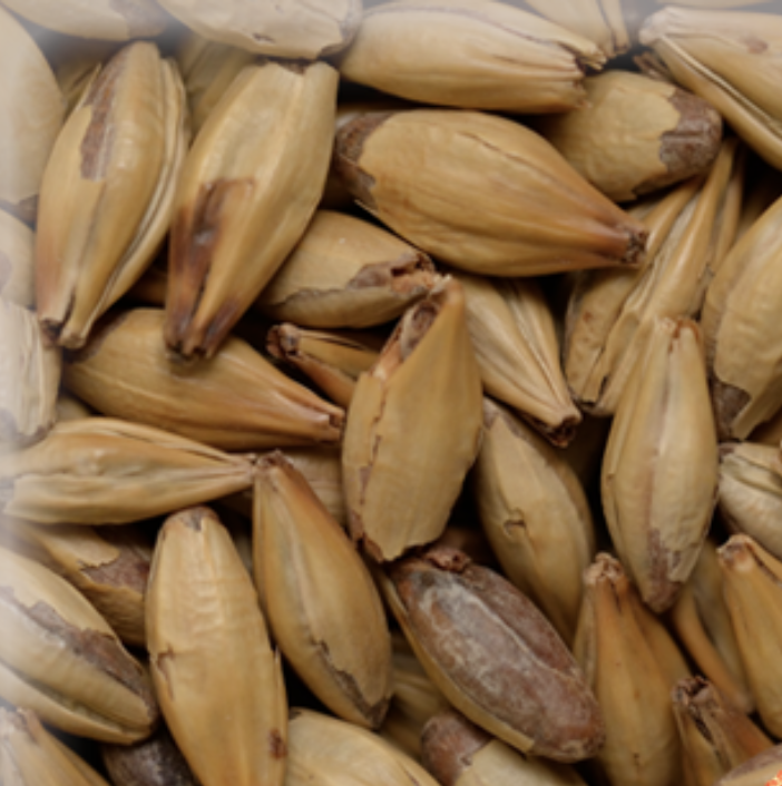 Malta Crystal KG (Caramel Malt 60L)