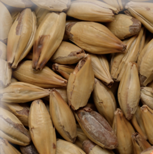 Malta Crystal KG (Caramel Malt 60L)