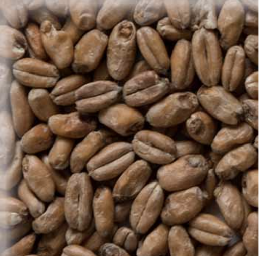 Malta Wheat (Trigo) Munich KG