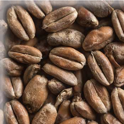 Malta Wheat (Trigo) Crystal KG 